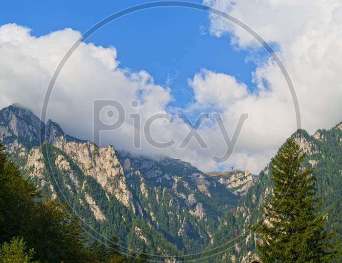 Alpine Summer Mountain Forest