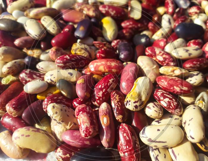 Close Up To The Colorful Kidney Beans , View Of Diffrent Colored Kidney Beans , These Are Also Known As Rajma In India .