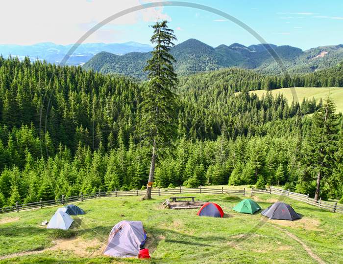 Forest Camping With Beautiful View