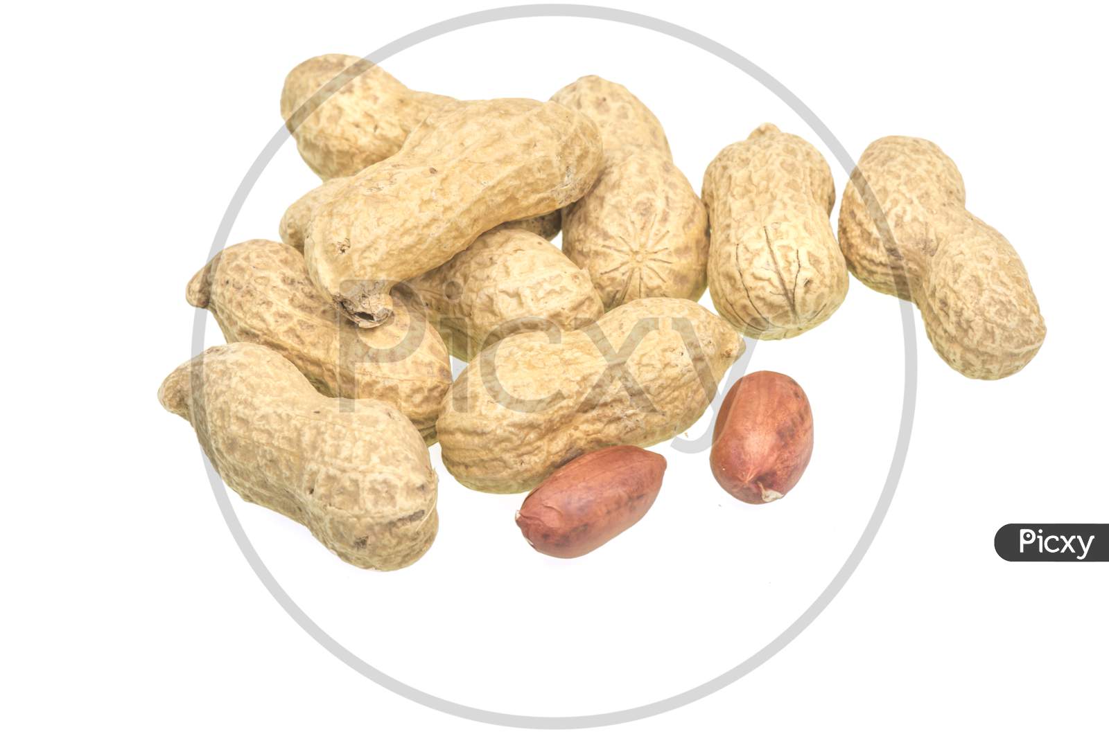 Group Of Peanuts