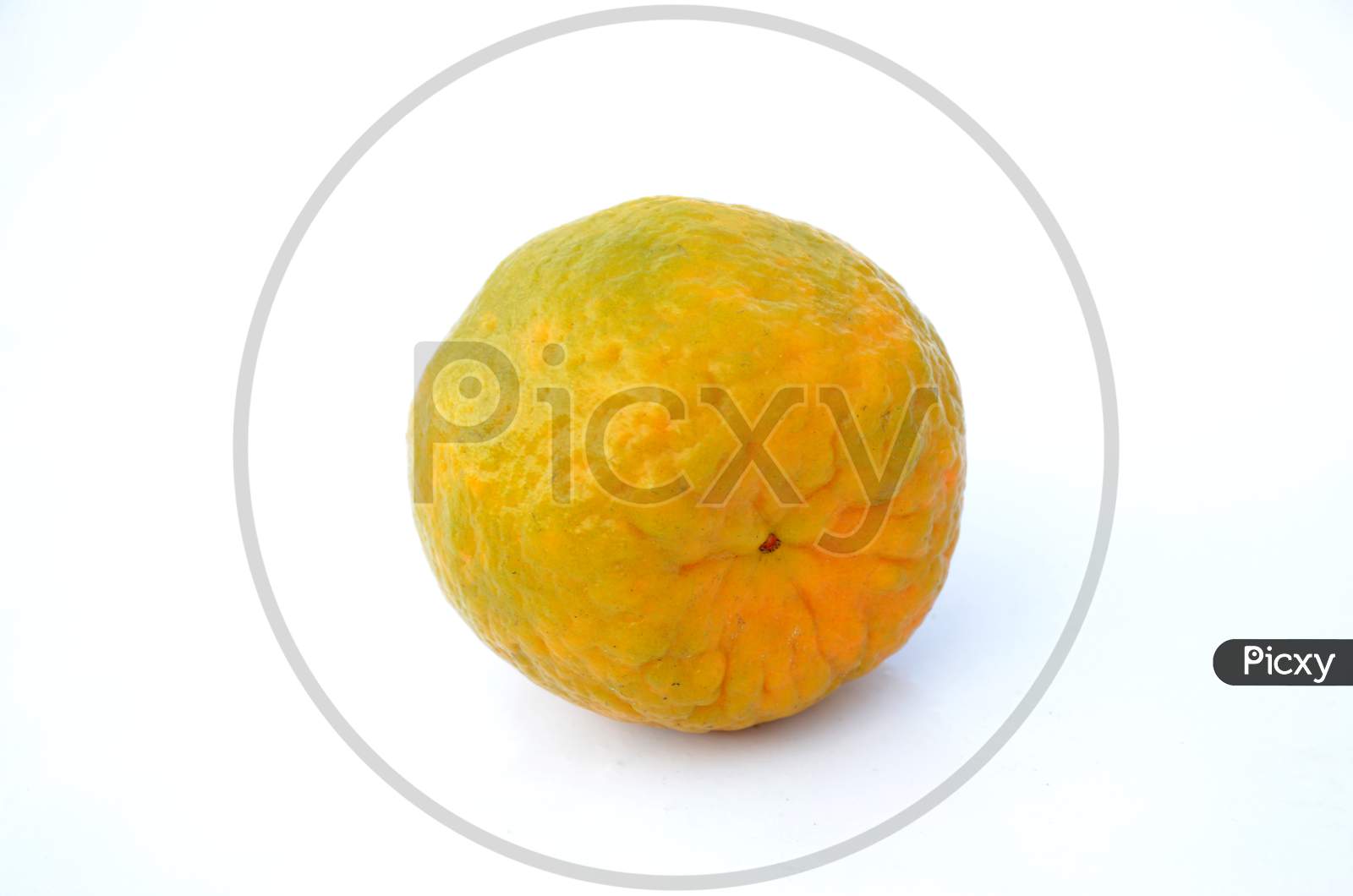 The Ripe Yellow Orange Isolated On White Background.