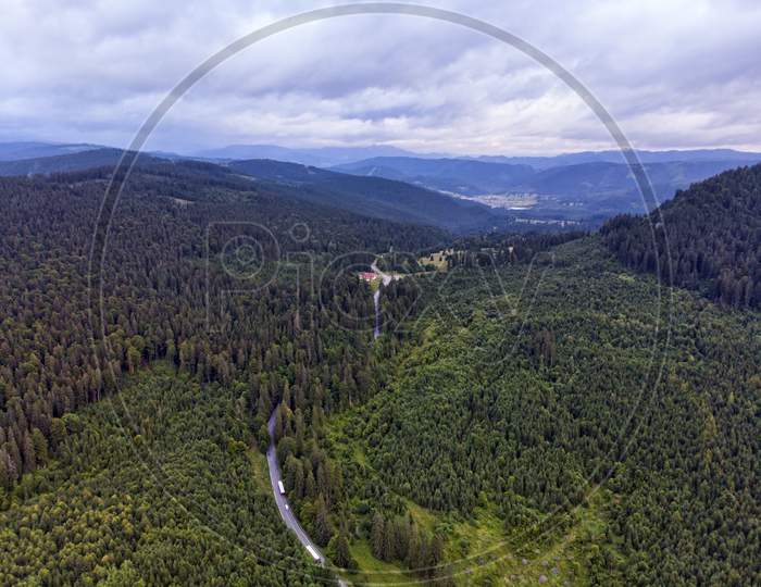 Road Through Green Forest, Aerial View