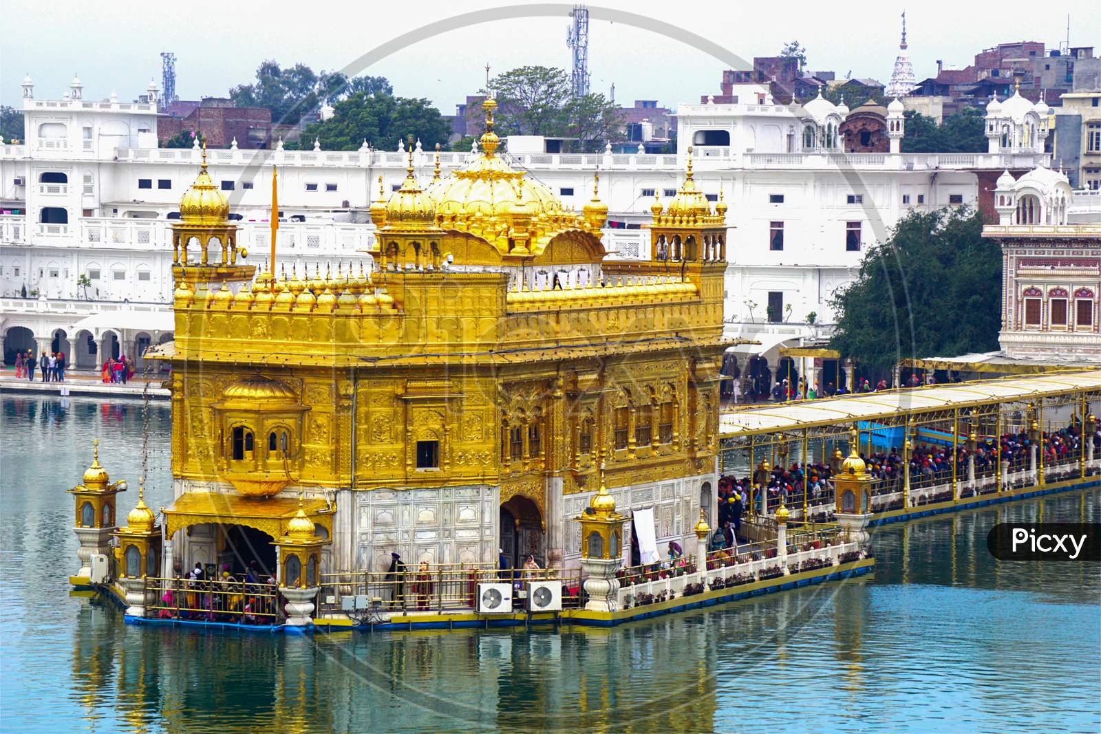 Golden Temple (Harmandir Sahib) In Amritsar, Punjab, India