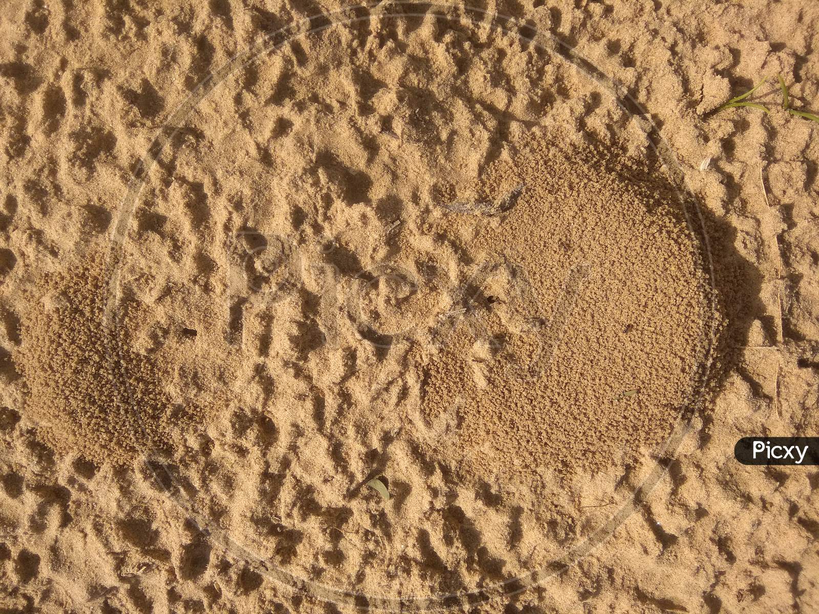 Desert soil made by ant