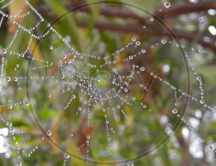 A spider web covered with Fog Drops, Natures beauty with Fog Drops