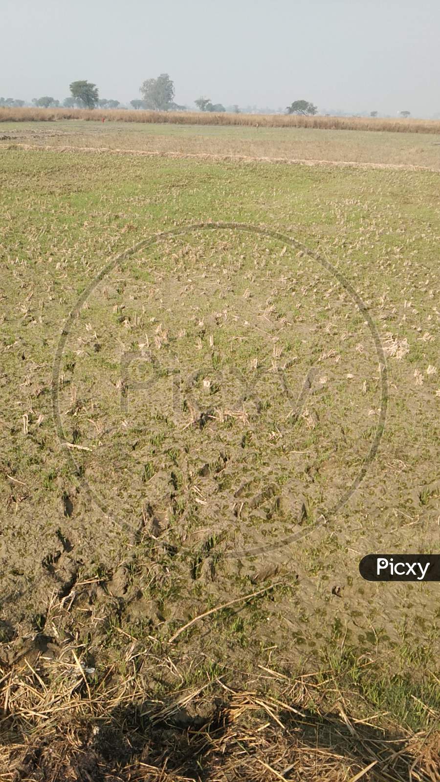 Field field×Remove circle