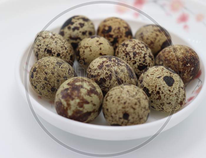 Tasty Bird Egg Stock On Bowl
