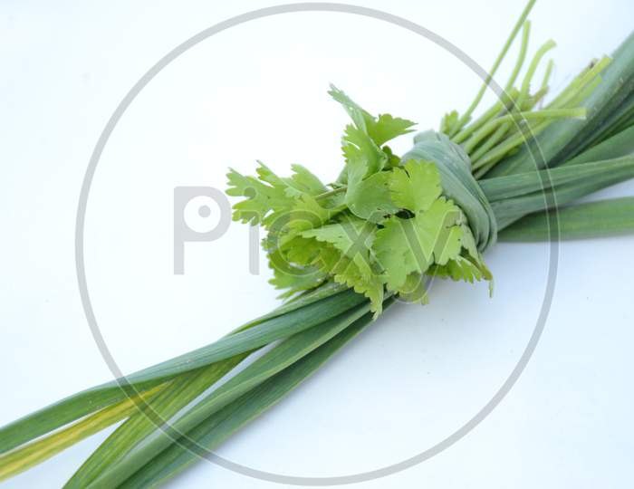 Bunch The Green Ripe Garlic Leaves With Coriander Isolated On White Background.