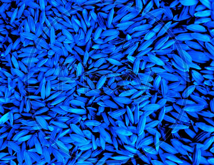 Blue Background Of Rice Grains