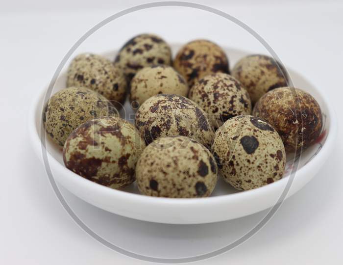 Tasty Bird Egg Stock On Bowl