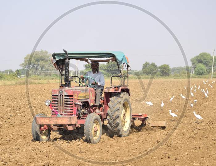 A Indian Farmer Is Cultivation A Field With His Tractor, Making It Ready To Sow The Seeds