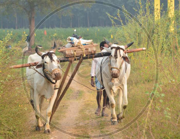 Villagers are the real feeders of India , they farm they feed us
