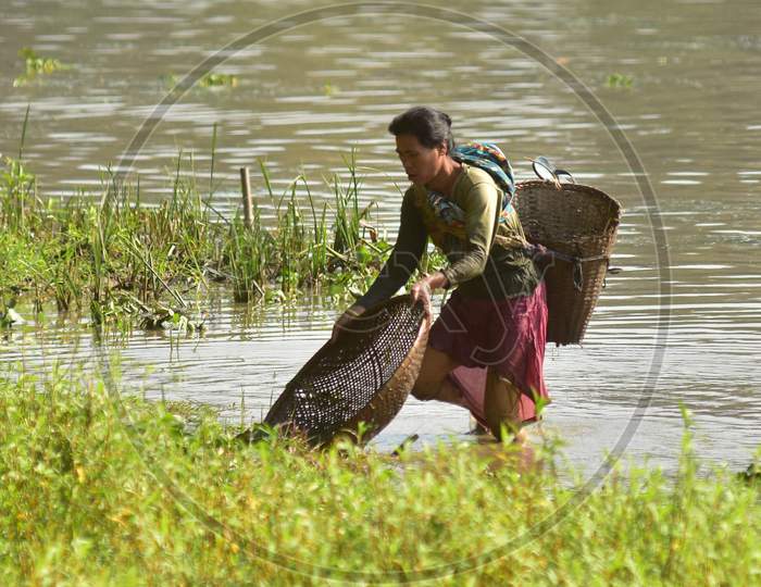 Women of Karbi tribe use traditional method to catch fishes in shallow waters at Burapahar near Kaziranga in Assam on Dec 28,2020.