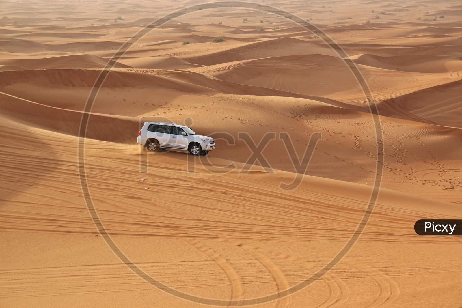 Car In Desert