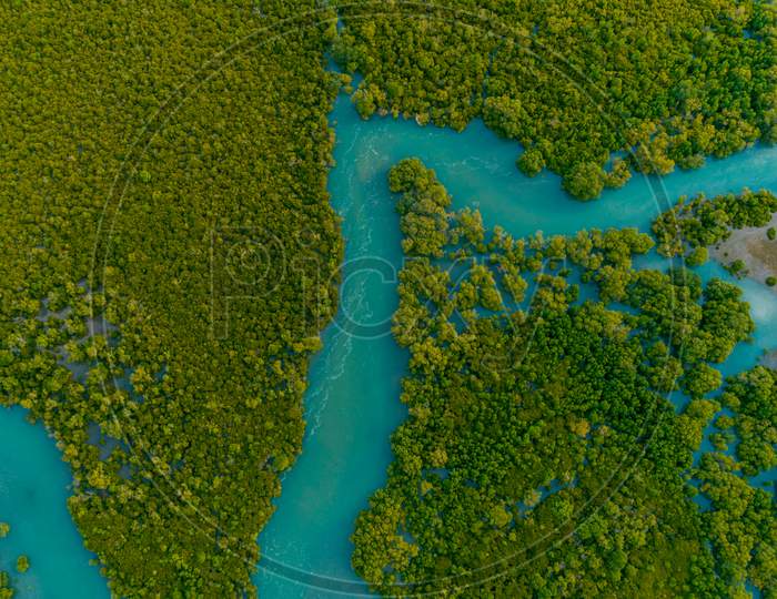 Aerial View Of The Mangrove Swamps , City Of Dar Es Salaam