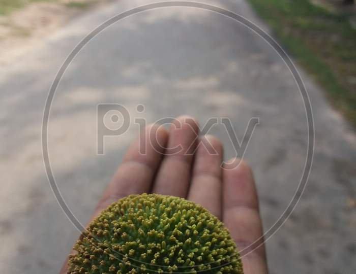 fruit on a hand on a medal of a road