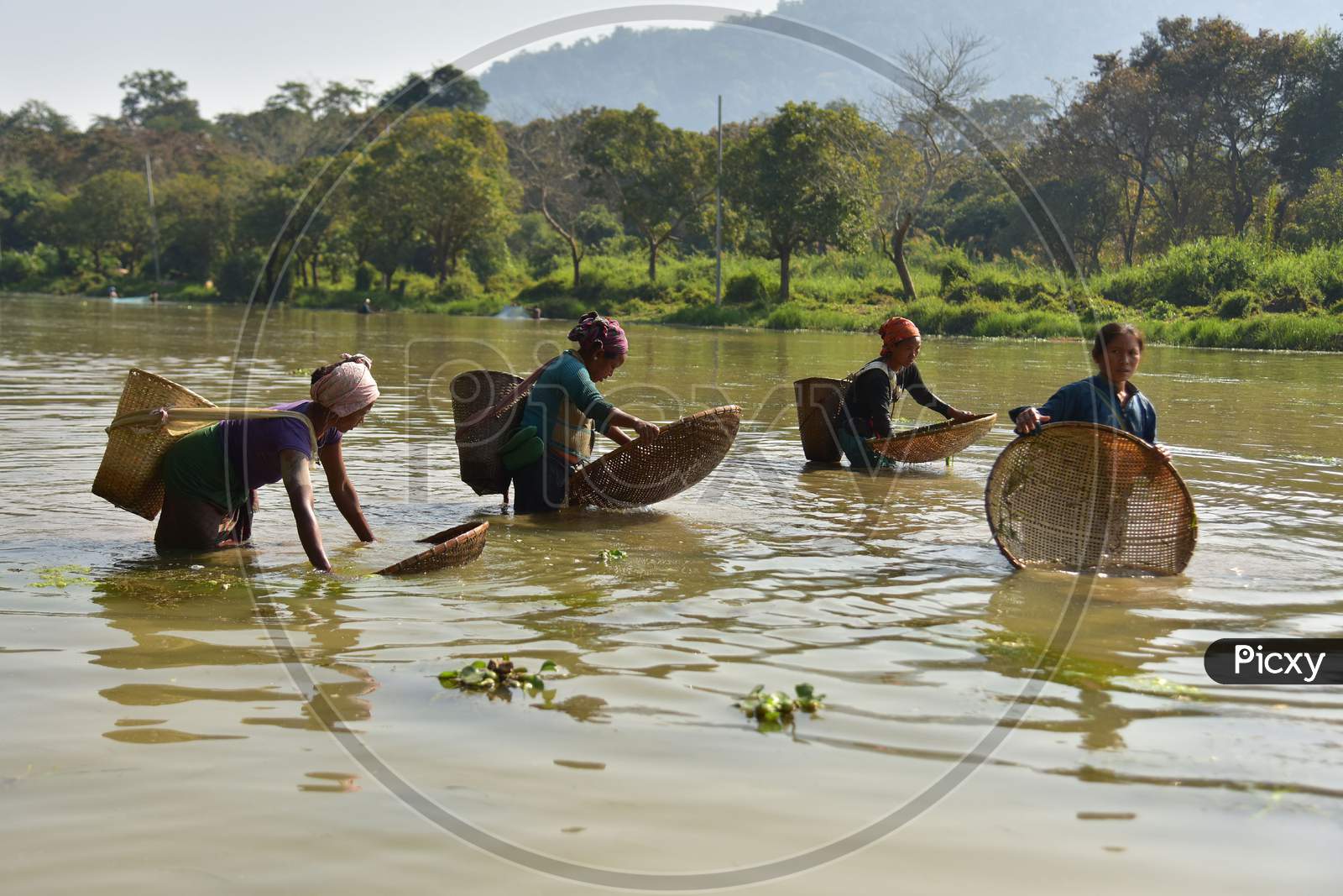 Women of Karbi tribe use traditional method to catch fishes in shallow waters at Burapahar near Kaziranga in Assam on Dec 28,2020.