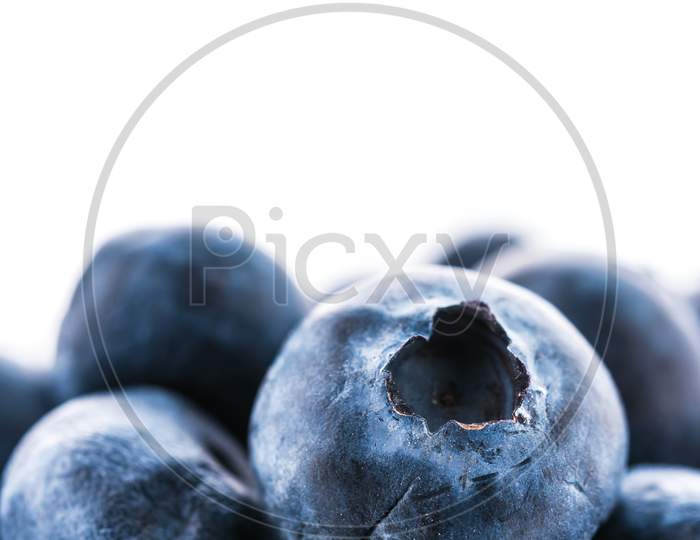 Blueberry Basket Isolated On White