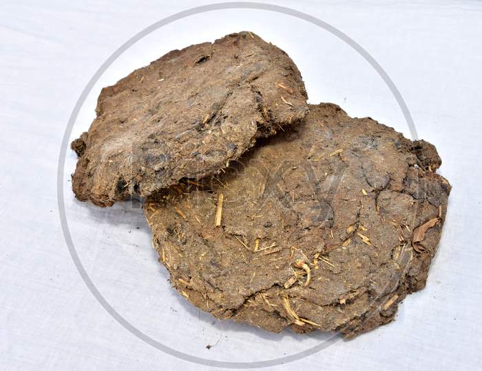 dry Cow Dung Cakes for hawan kund . dung cake on white background. dung cake for dhup
