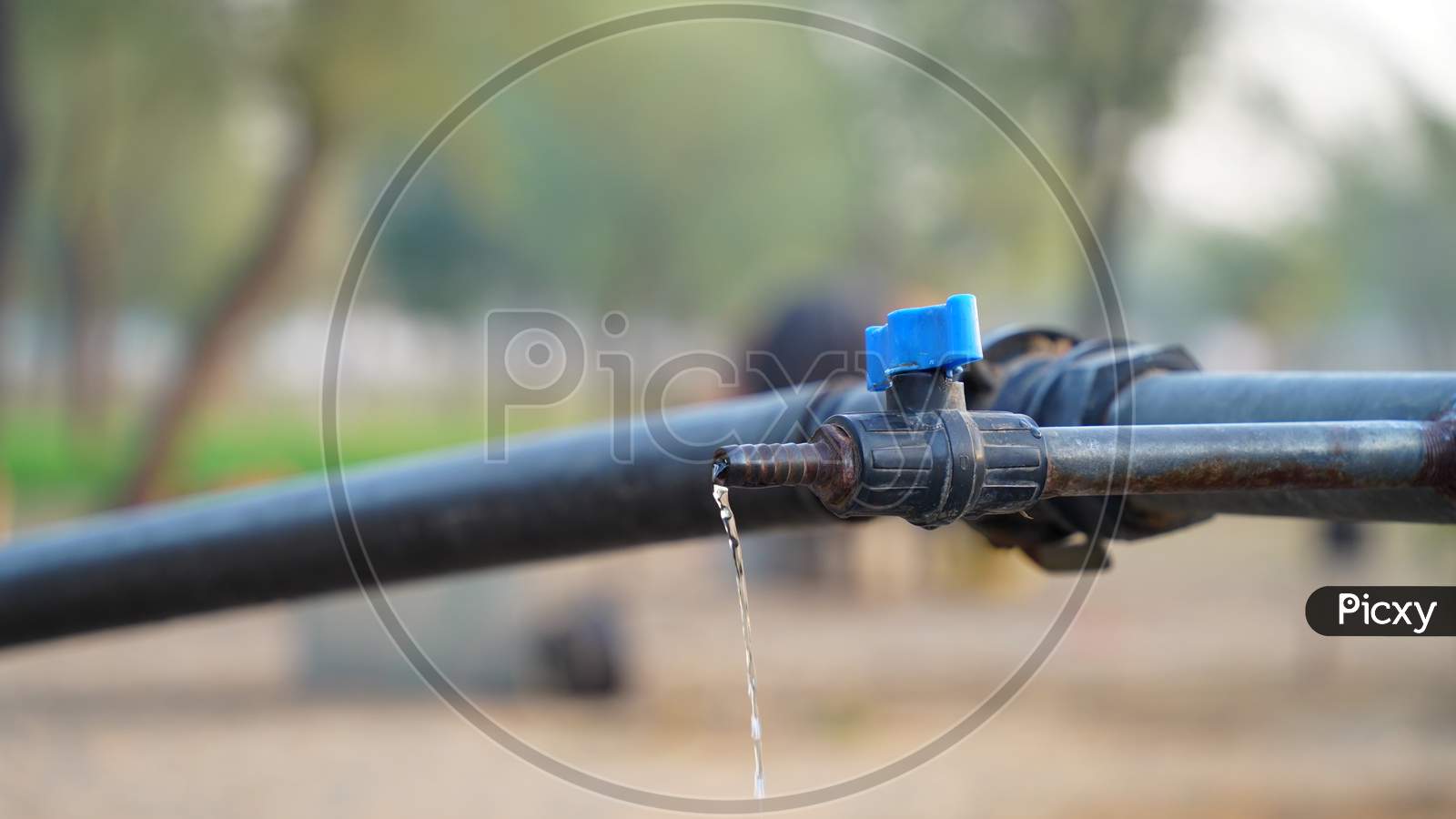 Water Dropping View From Blue Water Valve With Blurred Background. Closeup View Of Water Leak From Iron Pipe. Save Water Concept.