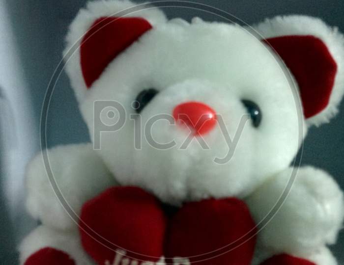 Cutie Teddy Bear Gift