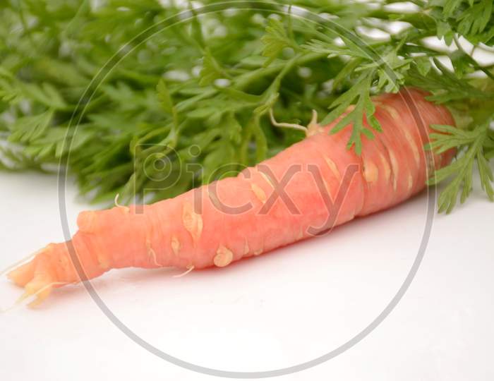 the ripe red carrot with green leaves isolated on white background.