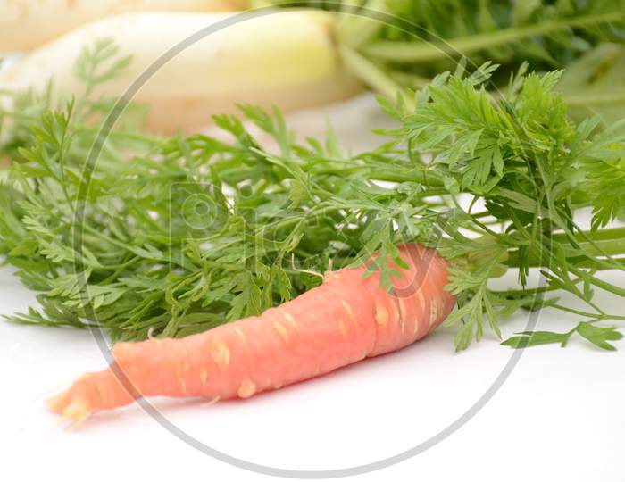 The Red Ripe Carrot With Green Leaves Isolated On White Background.