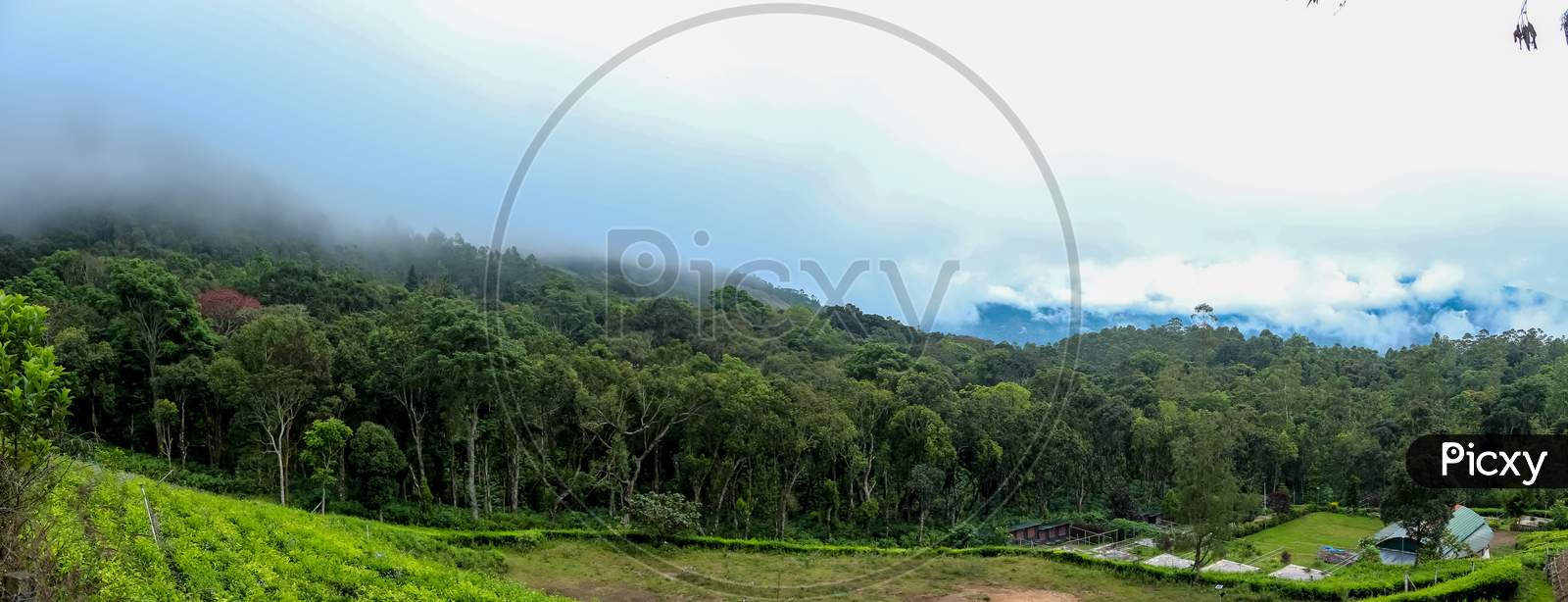 Panorama View Munnar Garden And Tea Plantation . Tea Plantations In Munnar, Kerala, India. Panorama Stock Images