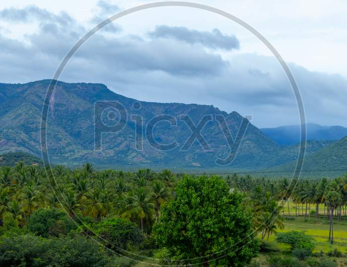 Hills And Farmlands Of South India - Tamilnadu - Panorama Landscape . Beautiful Farmlands - A View From The Hills Of Theni District, South India. Panorama Stock Images.