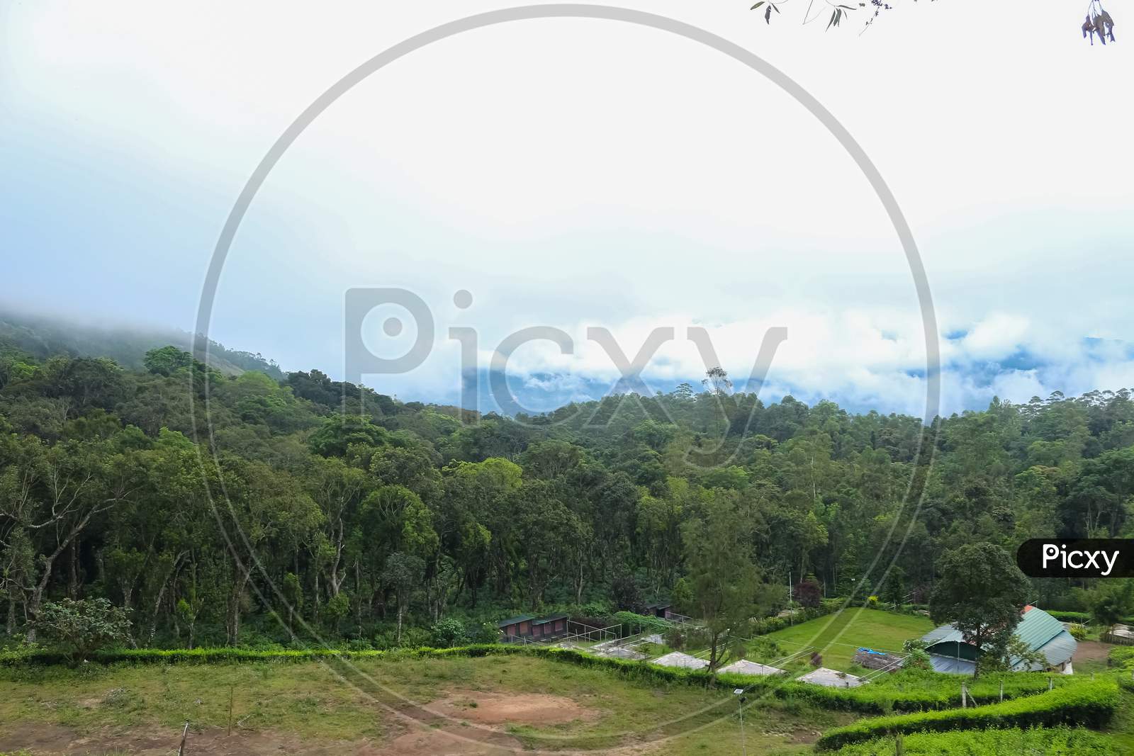 Munnar Garden And Tea Plantation . Tea Plantations In Munnar, Kerala, India. Stock Images