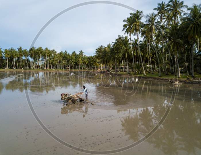 Farmer Use Machine Tractor Plowing Land. Background Is Coconut Farm