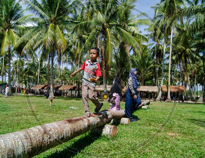Kids Walk On The Trunk Pf Coconut