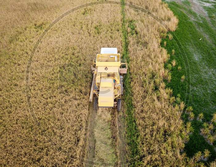 Top View Harvester In Paddy Field