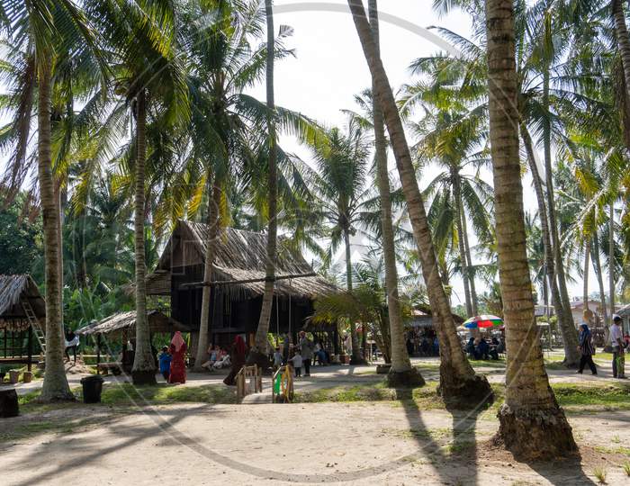 Eco Tourism At Coconut Farm