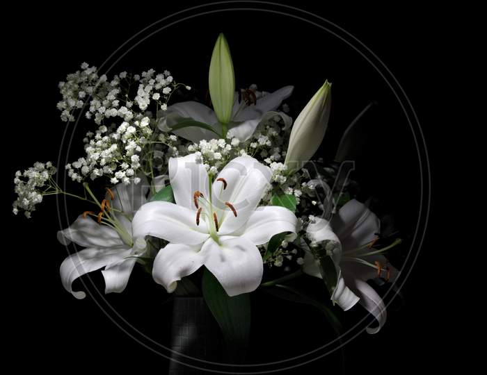 Bouquet Of Pure White Lilies