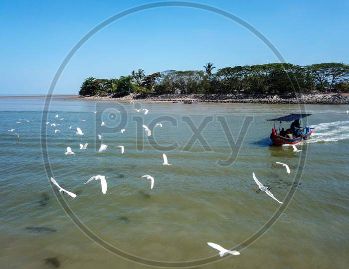 Egret Birds Fly When Fishing Boat Arrive River Bank