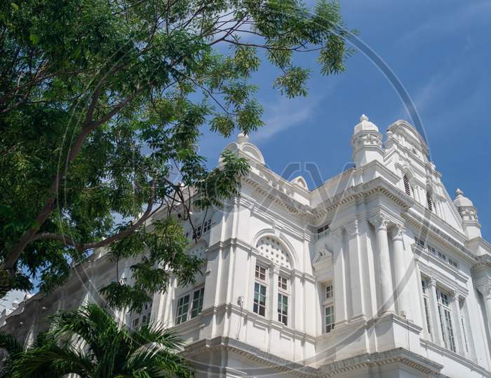 City Hall With Green Tree