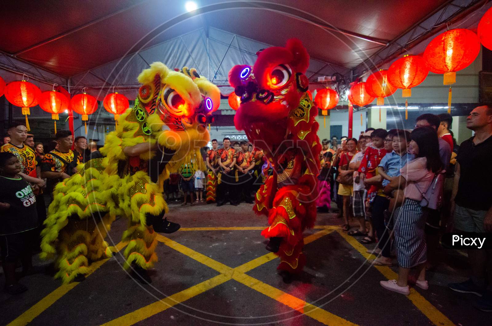 Lion Dance During Chinese New Year