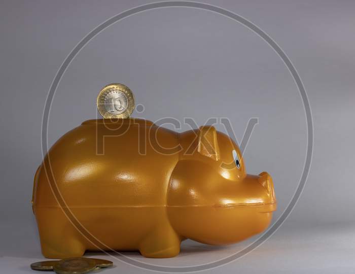 Golden Hippo Bank