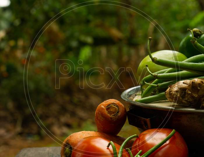 Fresh Vegetables With Blurred Nature In The Background