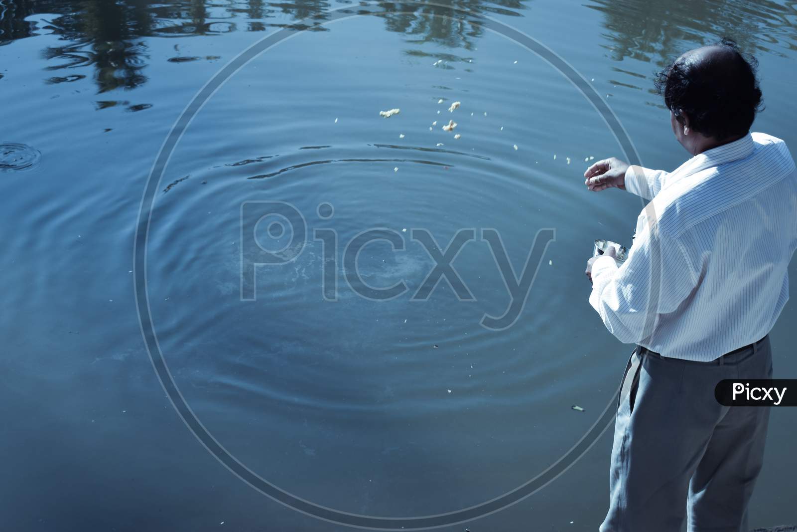 A man giving food in pond of Saraswata math for fish  in Assam india