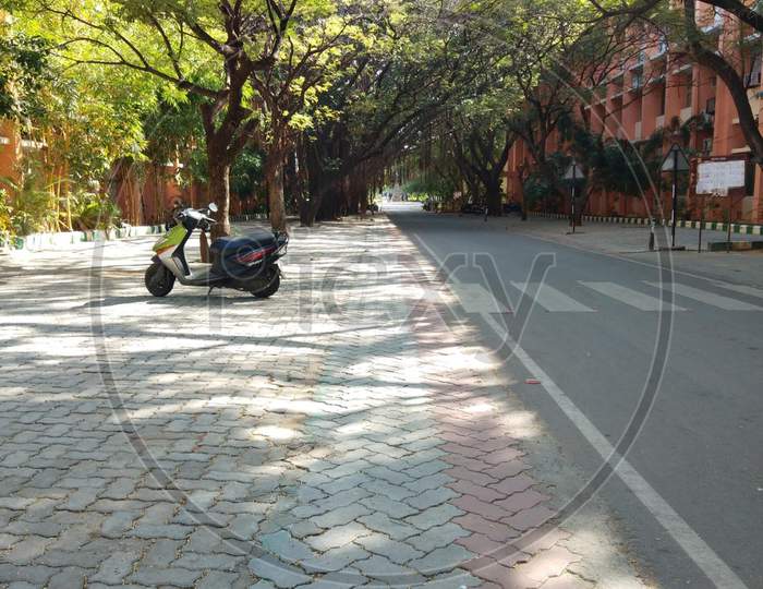 Road surface with scooty and filled with trees