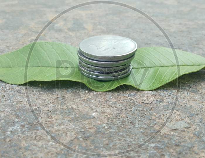 Leaf rupee coins