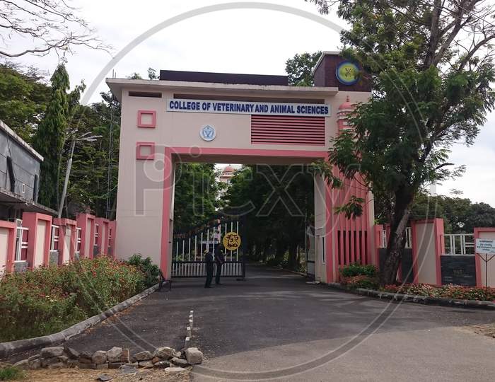 Thrissur, Kerlala, India - 12-05-2020: Kerala Veterinary College Entrance Gate.