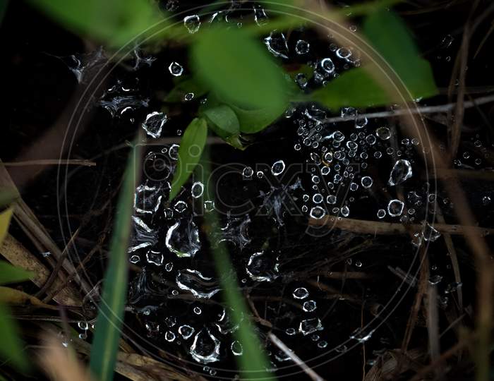 Water droplet crystals