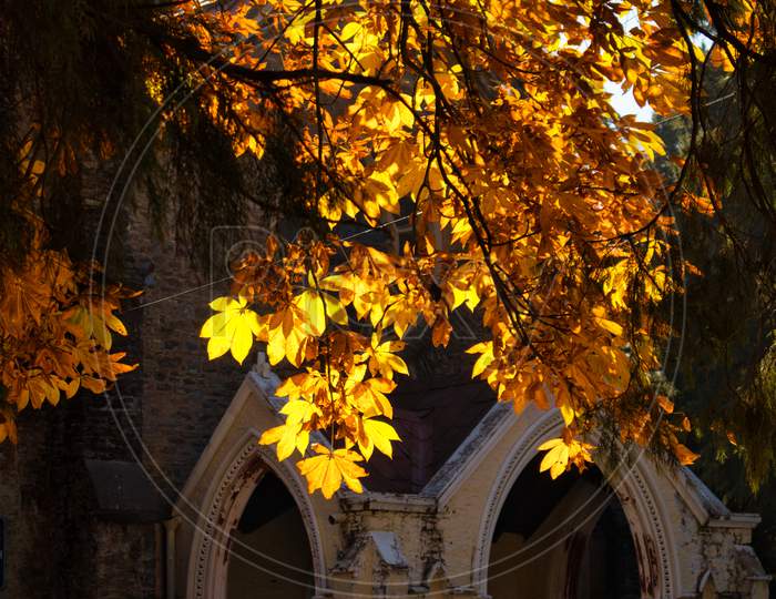 church during fall