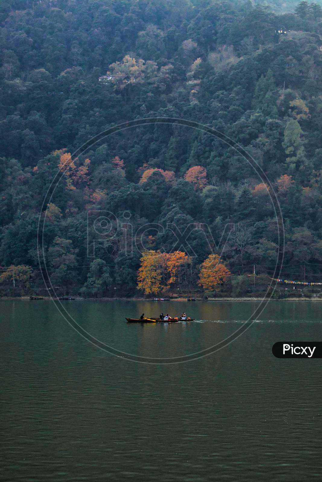 boat in a lake during autumn