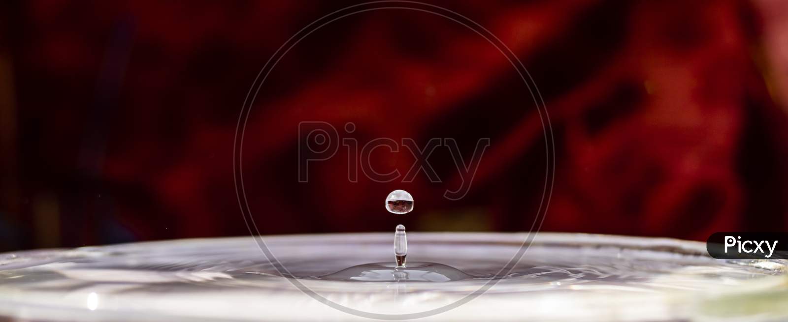 Water Droplet Rises After Falling On Red Background