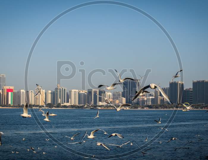 View Of Abu Dhabi, United Arab Emirates, The Capital City Of Uae.
