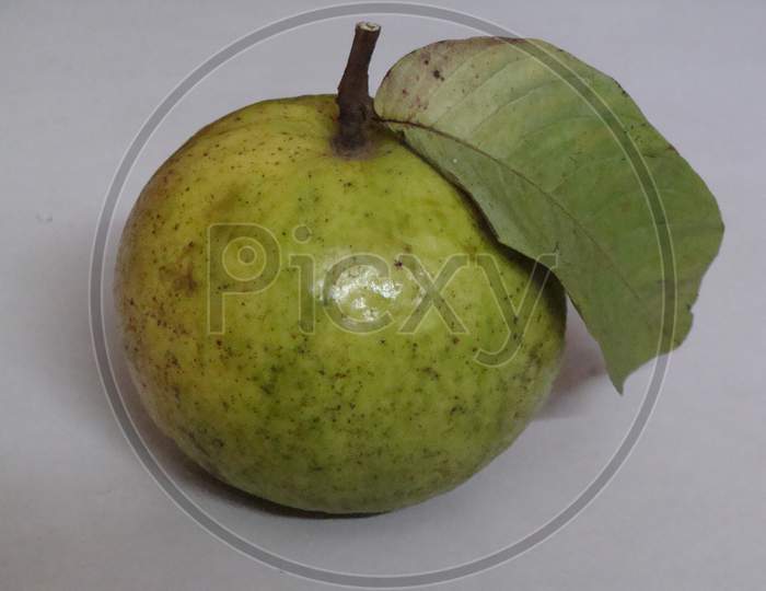 fresh Guava